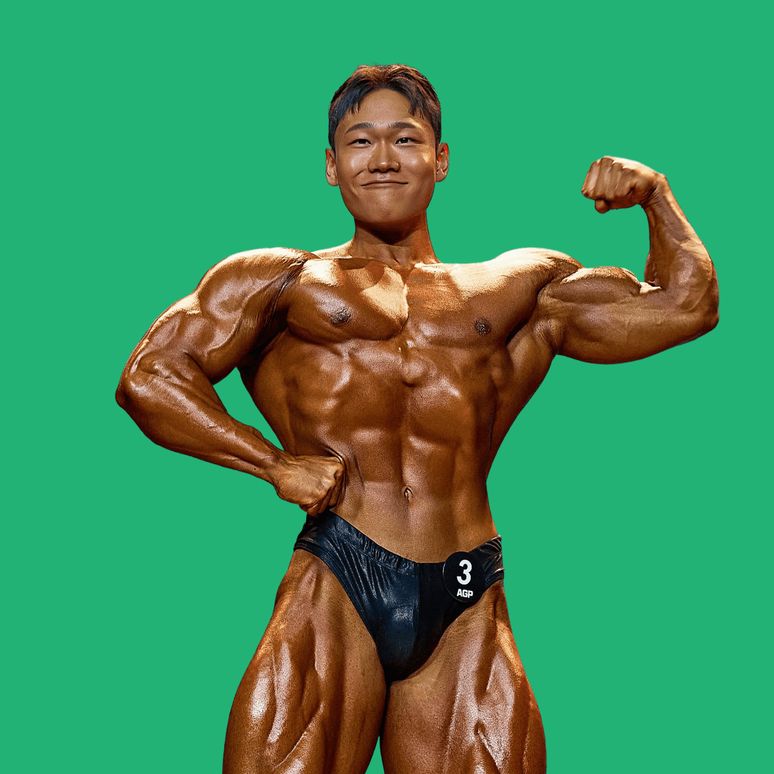 6주 파동형 주기화 8일 분할