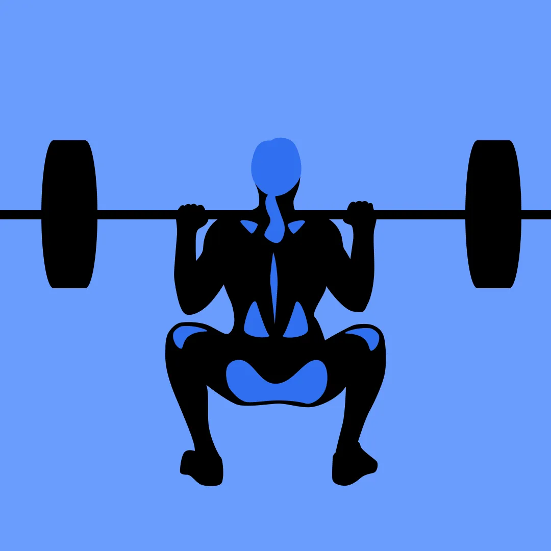 Smolov (Squat)