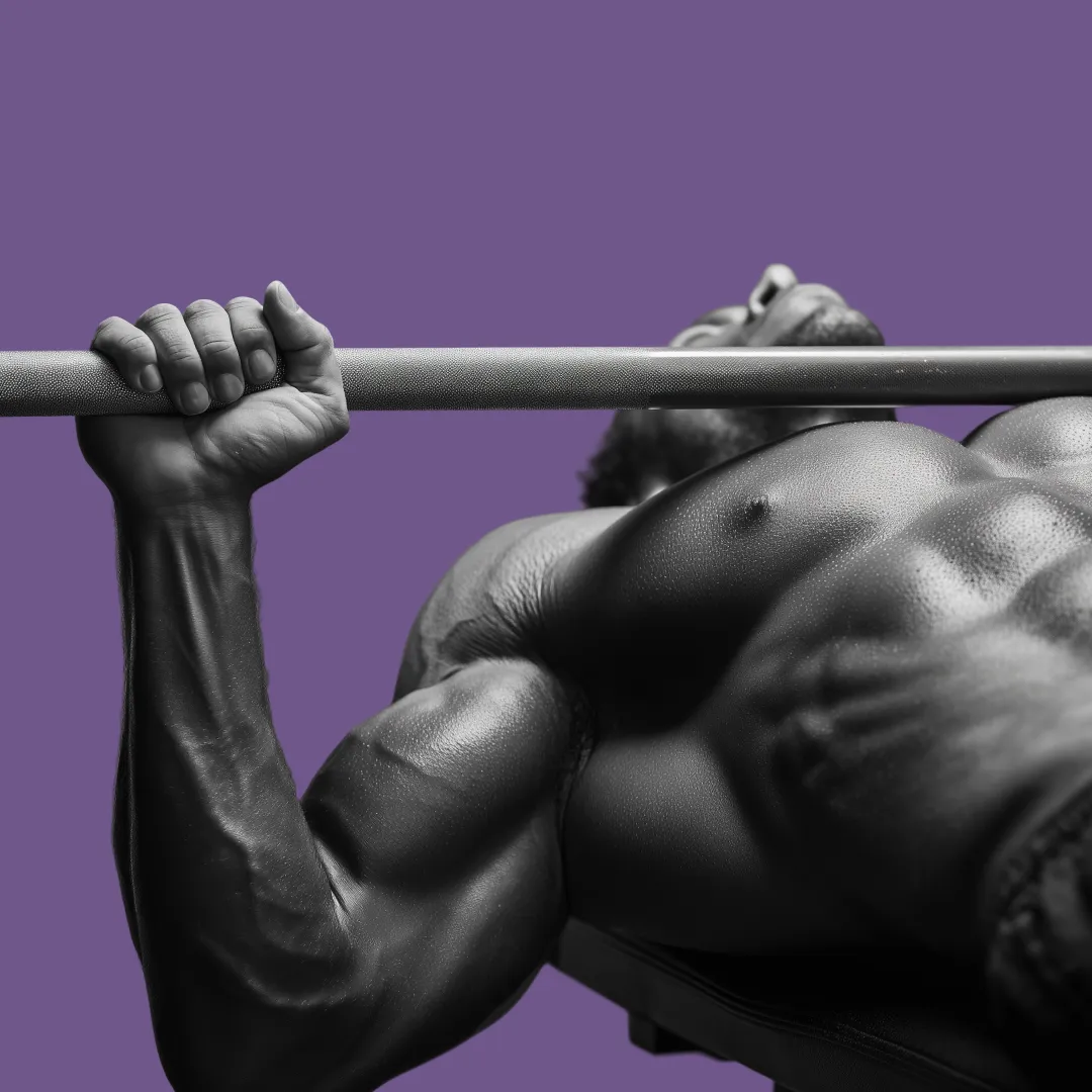 Sheiko Bench Press Only Program