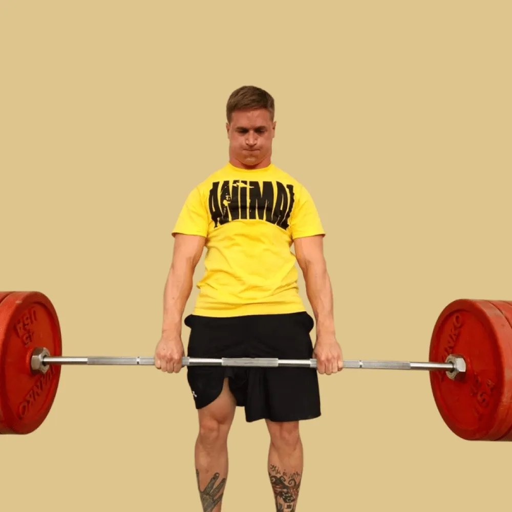 Jacked & Tan 2.0