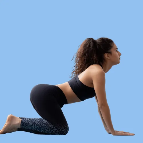 Strong Curves: Bootyful Beginnings
