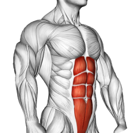 Abs