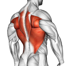 Back