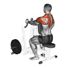 Week 1 exercise 2