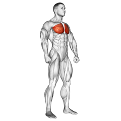 Cable Dips