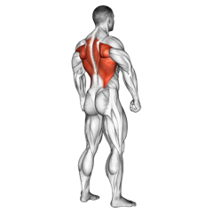 Underhand Pulldown