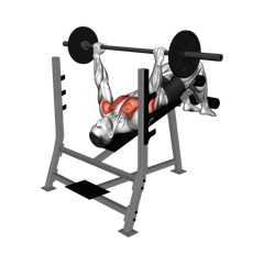 Week 4 exercise 2