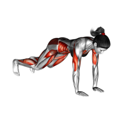Week 1 exercise 2