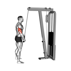 Week 3 exercise 3