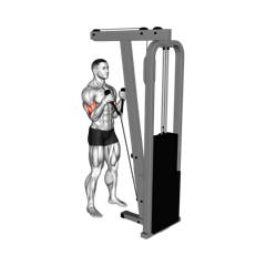 Week 4 exercise 2