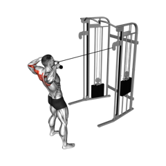 Week 2 exercise 3