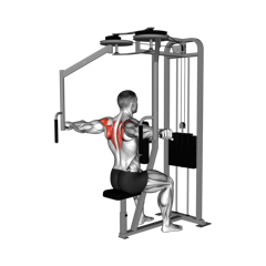 Week 5 exercise 6