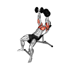 Week 2 exercise 1