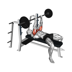 Week 4 exercise 1