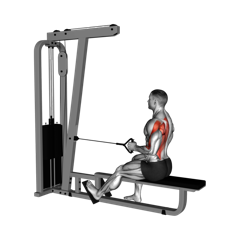 Week 5 exercise 3