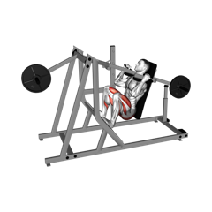 Week 2 exercise 4