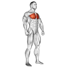 Cable Dips