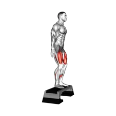 Week 4 exercise 1