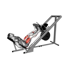 Week 3 exercise 1