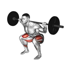 Week 1 exercise 1