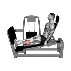 Week 3 exercise 2