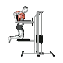 Week 1 exercise 3