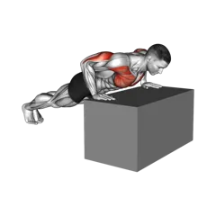 Week 2 exercise 2