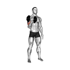 Week 5 exercise 2