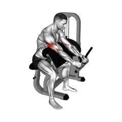 Week 4 exercise 3