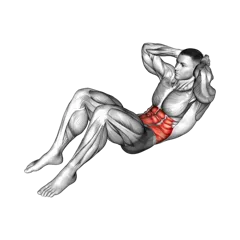 Week 5 exercise 2