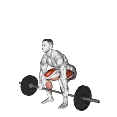 Week 2 exercise 6