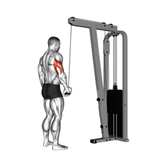 Week 5 exercise 3