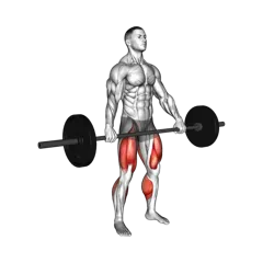 Week 5 exercise 1