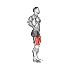 Week 4 exercise 3