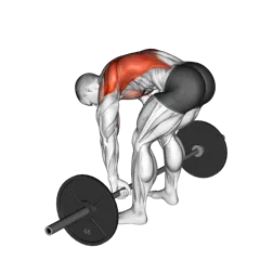 Week 3 exercise 2