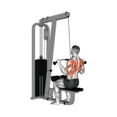 Week 4 exercise 2