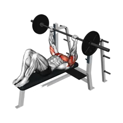 Week 1 exercise 3