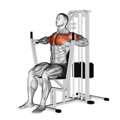 Week 3 exercise 1
