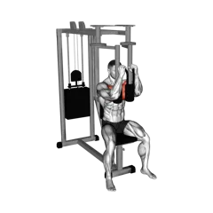 Week 5 exercise 1