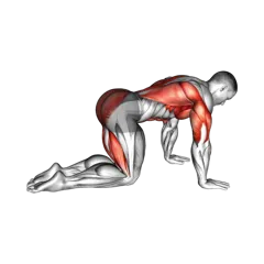 Week 5 exercise 4