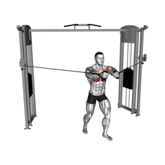 Week 5 exercise 5