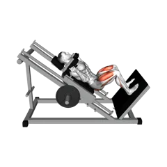 Week 4 exercise 3