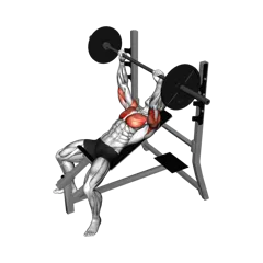 Week 3 exercise 2