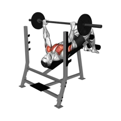 Week 4 exercise 2