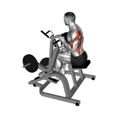 Week 5 exercise 2