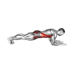 Week 1 exercise 2