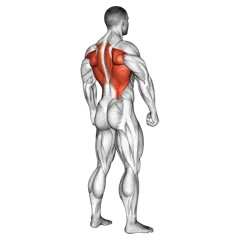 Underhand Seated Row