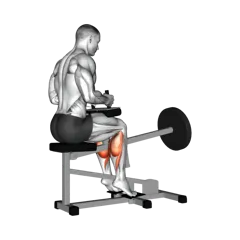 Week 2 exercise 2
