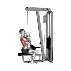 Week 2 exercise 5