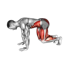 Week 3 exercise 3
